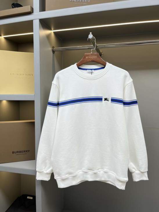 Picture of Burberry Sweatshirt _SKUBurberryS-2XLaztx876131013